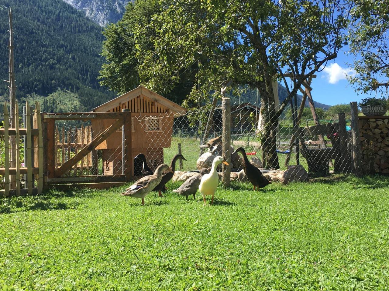 Vorderponholz Ferienwohnungen Ramsau bei Berchtesgaden Exterior foto