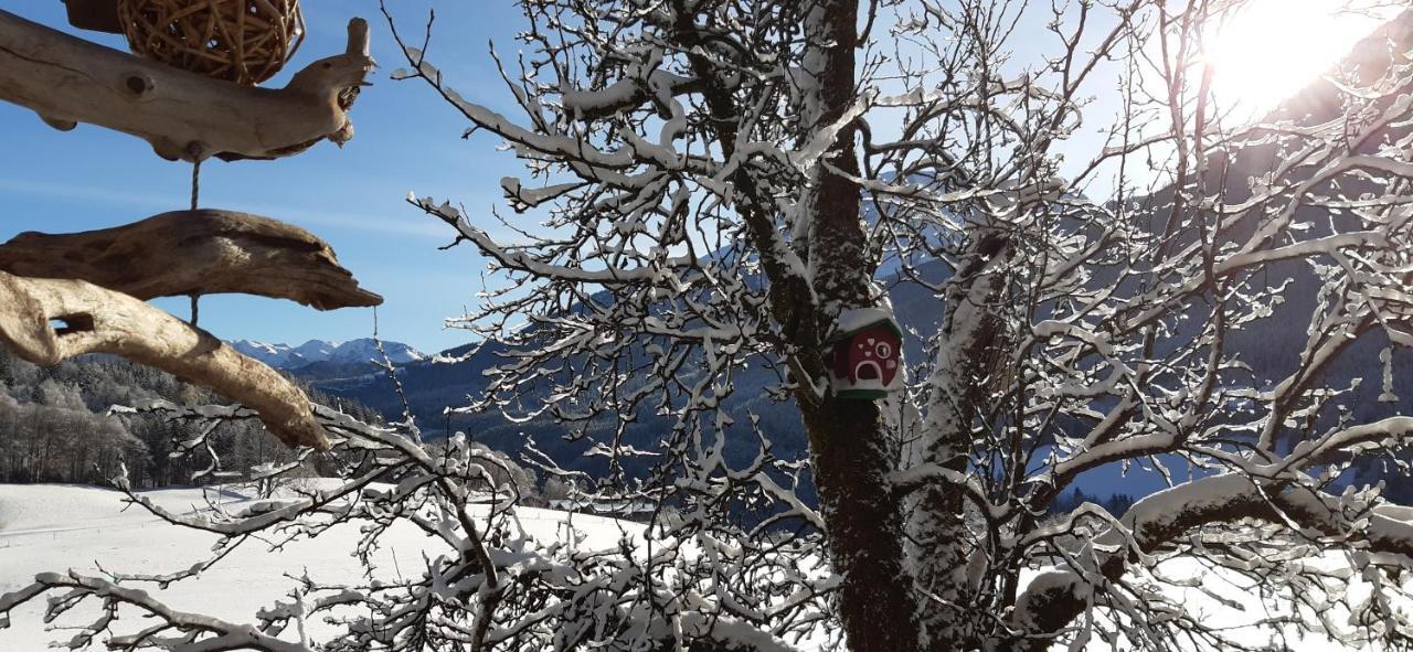 Vorderponholz Ferienwohnungen Ramsau bei Berchtesgaden Exterior foto